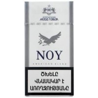 Noy Lights