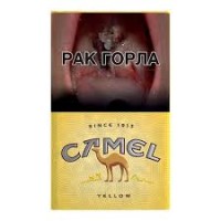 Camel Yellow