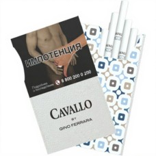 Cavallo by Gino Ferrara